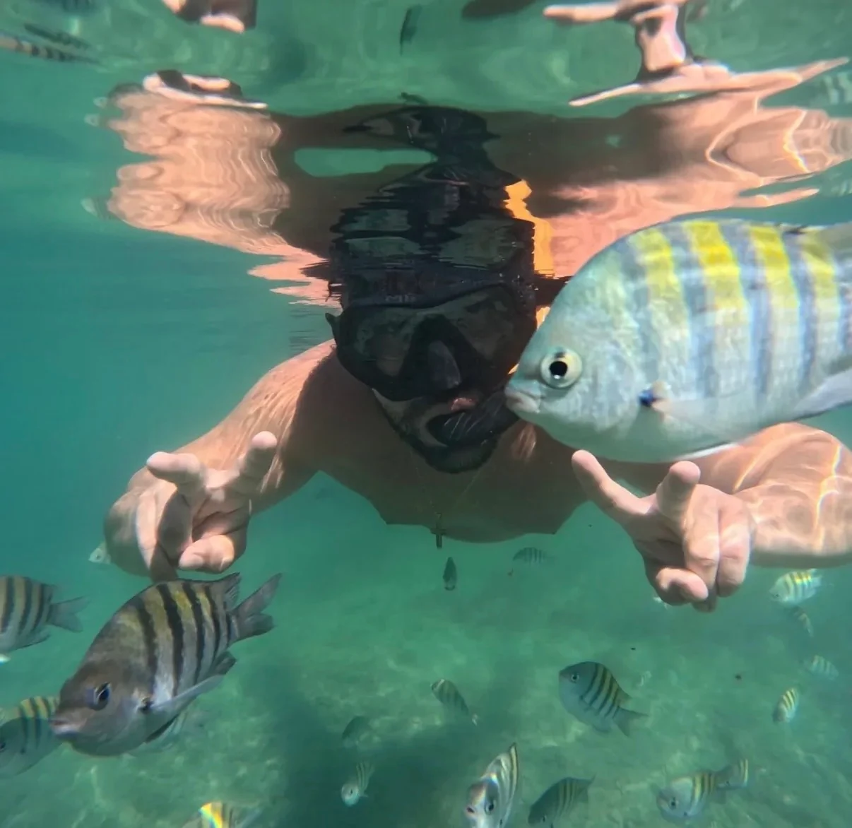 Passageiro mergulhando perto dos peixes em Recife de Fora