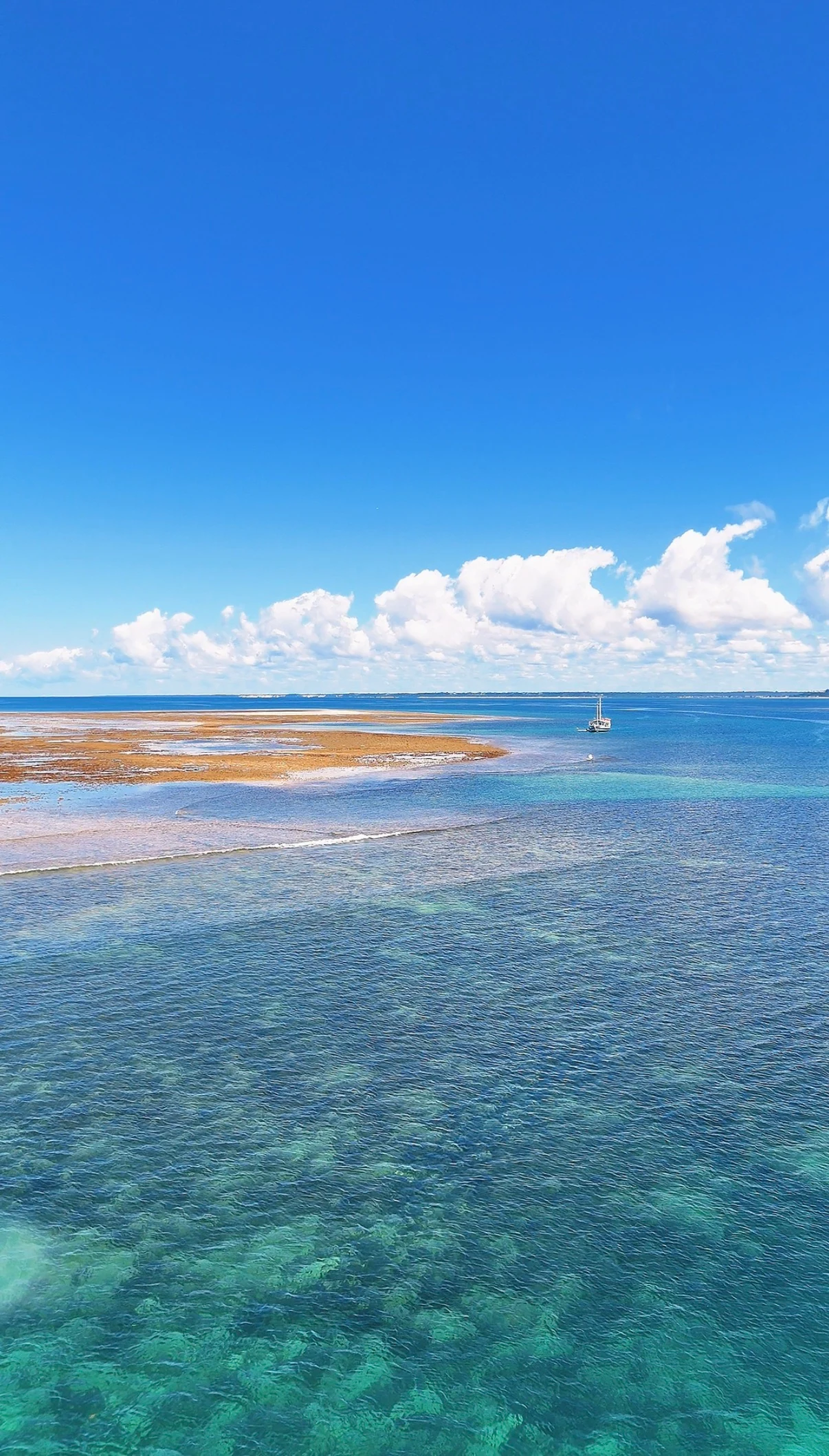 Vista panorâmica dos recifes e águas azuis em Recife de Fora
